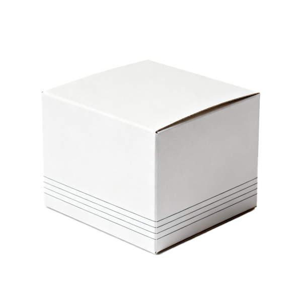 Lorem Ipsum Dolor Sit Amet Packaging Material Product Title Placeholder